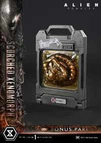 Prime 1 Studio Museum Masterline XL Alien: Romulus Scorched Xenomorph Deluxe Bonus Version - Alien (Movie Franchise) - photo 76