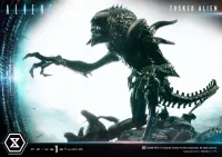 Prime 1 Studio Premium Masterline Aliens (Comics) Tusked Alien Bonus Version - Alien (Movie Franchise) - photo 53