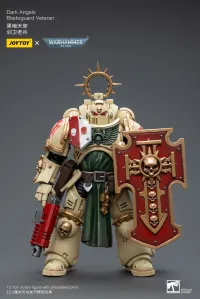 JOYTOY Dark Angels Bladeguard Veteran - Warhammer 40K - photo 1