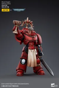 JOYTOY Blood Angels Veteran Salus - Warhammer 40K - photo 3