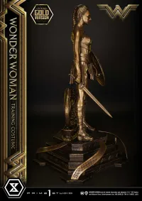 Prime 1 Studio Museum Masterline Wonder Woman (Film) Wonder Woman Training Costume Gold Version - DC Comics - photo 12