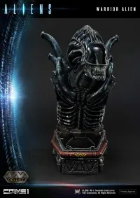 Prime 1 Studio Premium Masterline Aliens (Comics) Warrior Alien DX Bonus Version - Alien (Movie Franchise) - photo 90