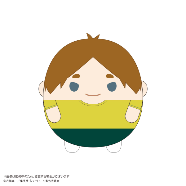 Haikyu!! FUWA KORORIN Ｍsize 10 (Item E)