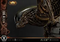 Prime 1 Studio Museum Masterline XL Alien 3 (Film) Dog Alien Deluxe Version - Alien (Movie Franchise) - photo 59