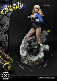 Museum Masterline DC Comics Black Canary EX Version 33