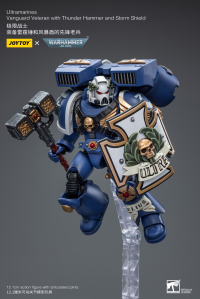 Ultramarines Vanguard Veteran with Thunder Hammer and Storm Shield 8