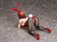 FREEing Ryoko Mikado: Bunny Ver. - To LOVE-Ru - photo 7