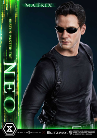Museum Masterline The Matrix (Film) Neo 62