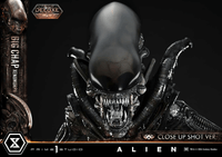 Museum Masterline XL Alien (Film) Big Chap Xenomorph Close Up Shot Ver. DX Bonus Version			 14