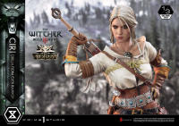 Museum Masterline The Witcher 3: Wild Hunt Ciri Fiona Elen Riannon Bonus Version 28