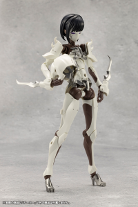 SEEKER 13