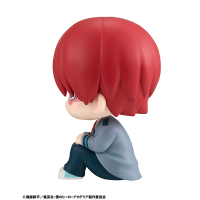 Lookup My Hero Academia Shoto Todoroki 9