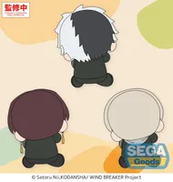 SEGA Hyokopyoko TV Anime "WIND BREAKER" Plush Vol.1 (EX) - WIND BREAKER - photo 2