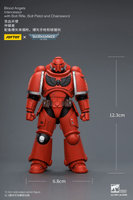 Blood Angels Intercessor with Bolt Rifle, Bolt Pistol and Chainsword 16