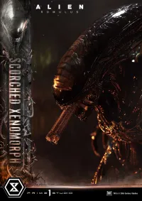 Prime 1 Studio Museum Masterline XL Alien: Romulus Scorched Xenomorph - Alien (Movie Franchise) - photo 46