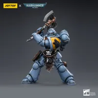 JOYTOY Space Wolves Claw Pack Sigyrr Stoneshield - Warhammer 40K - photo 4