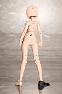 B1R-M CHASSIS KIT SKIN COLOR B 3