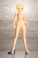 B1R-M CHASSIS KIT SKIN COLOR D 6