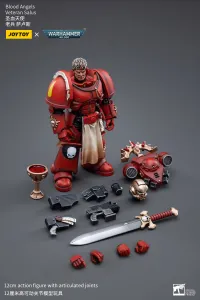 JOYTOY Blood Angels Veteran Salus - Warhammer 40K - photo 6