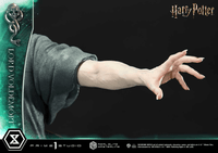 Real Elite Masterline Harry Potter (Film) Lord Voldemort 22