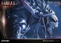 Prime 1 Studio Premium Masterline Aliens (Comics) Rogue Alien Battle Diorama - Alien (Movie Franchise) - photo 37