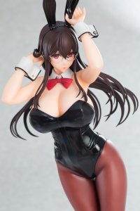 Succubus Stayed Life Tohko Sakuramachi Bunny ver. 20