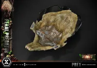 Prime 1 Studio Museum Masterline Prey Feral Predator DX Bonus Version - Live Action Movies/TV - photo 5