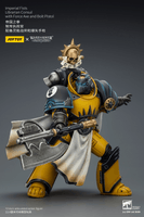 Imperial Fists Librarian Consul with Force Axe and Bolt Pistol 7