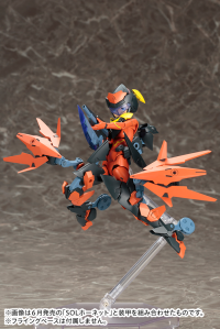 SOL Road Runner 10