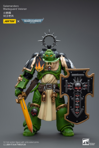 Salamanders Bladeguard Veteran 1