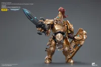 JOYTOY Adeptus Custodes Custodian Guard with Sentinel Blade and Praesidium Shield - Warhammer 40K - photo 8