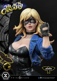 Prime 1 Studio Museum Masterline DC Comics Black Canary EX Version - DC Comics - photo 7