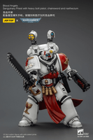 Blood Angels Sanguinary Priest with Heavy bolt pistol, chainsword and narthecium 10