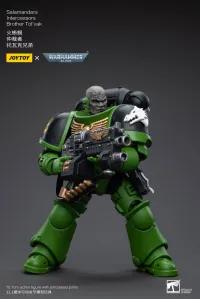 JOYTOY Salamanders Intercessors Brother Tol'vak - Warhammer 40K - photo 4