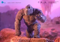 HIYA TOYS Exquisite Basic Series GODXILLA x KONG THE NEW EMPIRE Kong - Godzilla - photo 24
