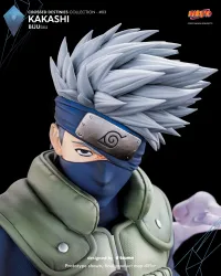 Tsume Art Kakashi - BIJUtsu - NARUTO - photo 17