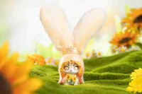 Shenzhen Mabell Animation Development Cup Rabbit - Dreamland Journey - Blind Boxes - photo 5