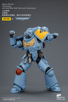 Space Wolves Intercessor with Bolt Rifle, Bolt Pistol and Chainsword 24
