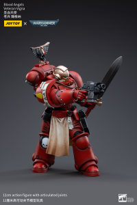 Blood Angels Veteran Vigna 3