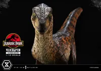 Prime 1 Studio Prime Collectible Figures  Jurassic Park (Film)  Velociraptor  Closed Mouth - Jurassic Park - photo 10