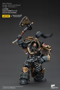 JOYTOY Space Wolves Varagyr Wolf Guard Squad Varagyr Terminator 1 - Warhammer 40K - photo 2