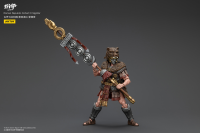 Roman Republic Cohort Iv Signifer 8
