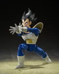 TAMASHII NATIONS VEGETA -24000 POWER LEVEL- "Dragon Ball Z", TAMASHII NATIONS S.H.Figuarts (P-Bandai Exclusive) - Dragon Ball Z - photo 6
