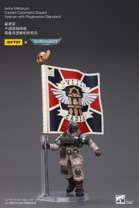 Astra Militarum Cadian Command Squad Veteran with Regimental Standard 5