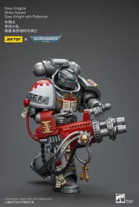 JOYTOY Grey Knights Strike Squad Grey Knight with Psilencer - Warhammer 40K - photo 5