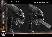 Prime 1 Studio Museum Masterline XL Alien: Romulus Scorched Xenomorph - Alien (Movie Franchise) - photo 26