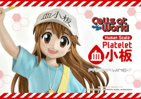 Life Scale Masterline Cells at Work Platelet 37