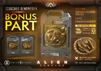 Prime 1 Studio Museum Masterline XL Alien: Romulus Scorched Xenomorph Deluxe Bonus Version - Alien (Movie Franchise) - photo 1