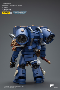 Ultramarines Vanguard Veteran Sergeant 3