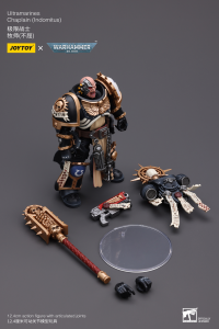 Ultramarines Chaplain(Indomitus) 3